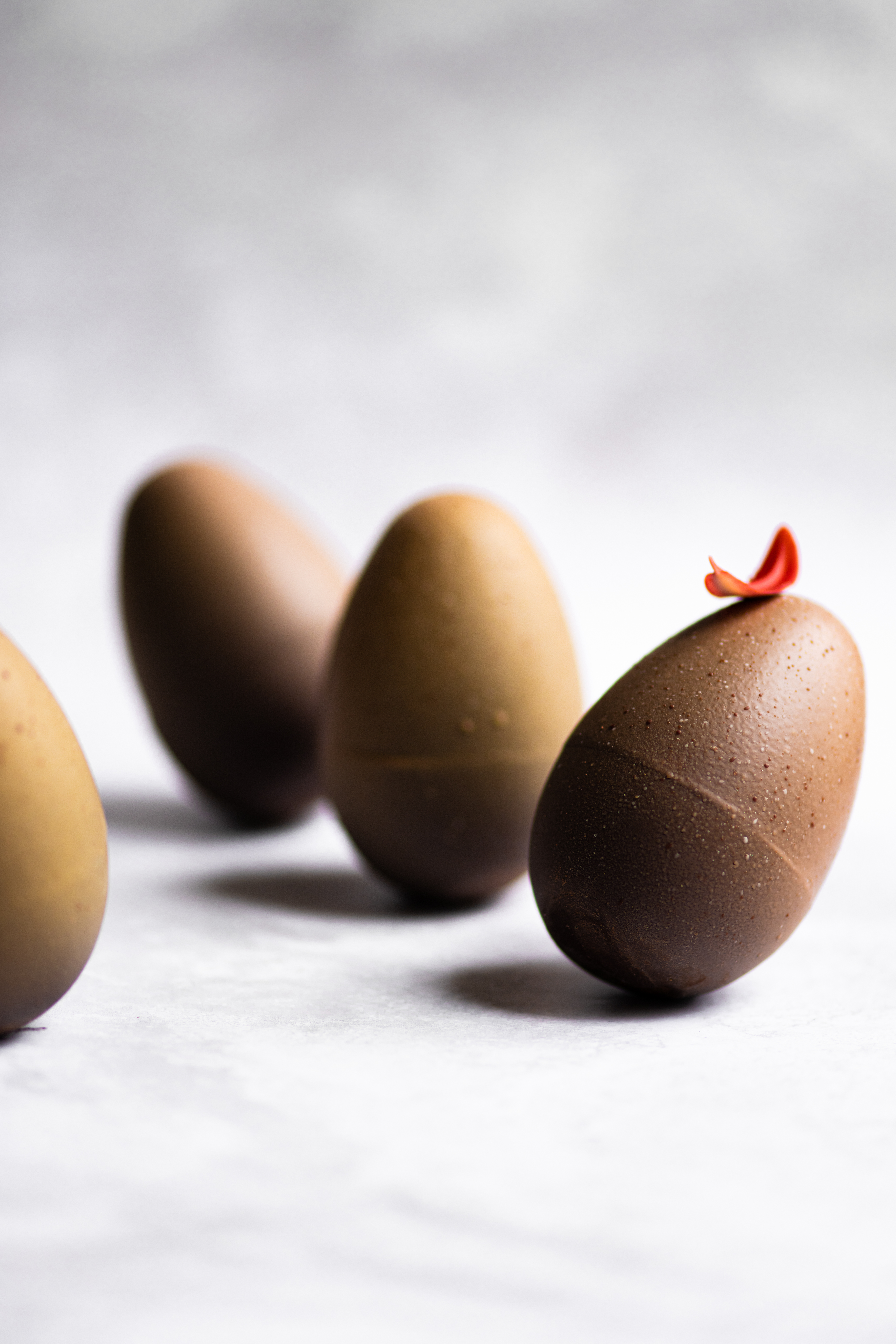 Oeuf de pâques - chocolat de pâques