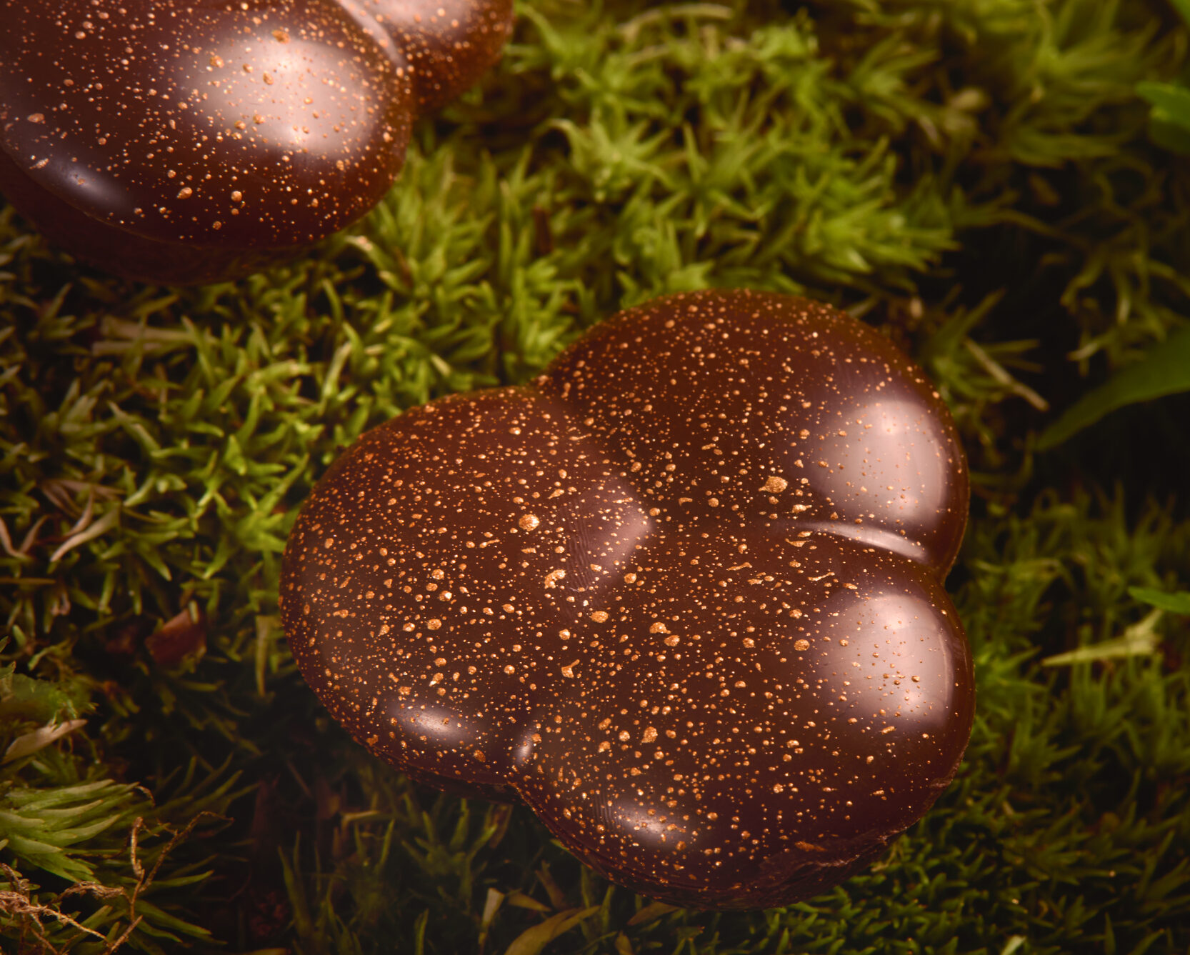 La truffe : tout savoir sur ce champignon précieux - Meilleur du Chef