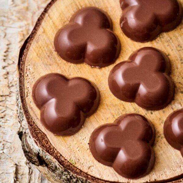 Petits trèfles Praliné noisette - chocolat au lait